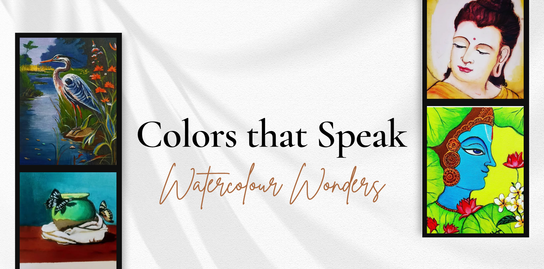 Shop Our New Collection